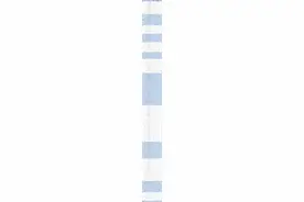 最新！2023泉州普高招生计划发布图片