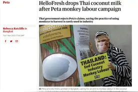 因强迫“猴子劳工”每天摘1000个椰子，泰国椰奶遭德国知名电商停售图片