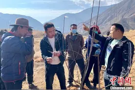 西藏芒康：国土绿化添新绿图片