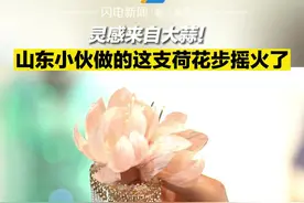 灵感来自大蒜！山东小伙做的这支荷花步摇火了图片