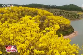 春天里的中国丨万物复苏 春意盎然图片