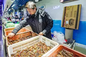 湖北小龙虾提前1个月“抢鲜”上市 每斤价格接近80元  4月下旬可吃便宜虾图片