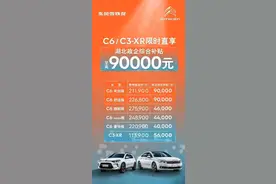 响应促销费：湖北出台购车补贴 汽车产业发展还有哪些“良药”？图片