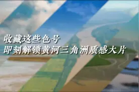 收藏这些色号 即刻解锁黄河三角洲质感大片图片