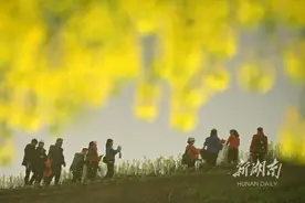 踏青赏花 乐享春光图片