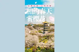 刚刚宣布，今起东湖樱花园闭园时间延长至晚上10点！图片