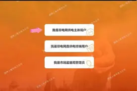 公开“账本”  上海率先上线“电费小程序监管平台”图片