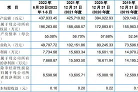 中法水务：拟冲刺上交所主板IPO上市，预计投入募资2.86亿元，担忧无法持续取得特许经营权的风险图片