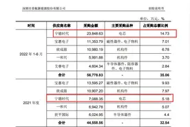 IPO观察|首航新能闯关创业板上市：依赖单一市场、研发投入远低于同行均值、与股东母公司“宁王”展开大规模交易图片