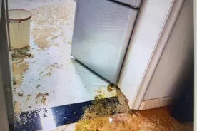 公共排污管道堵塞，家里家具、地板被泡坏，这事谁来担责？图片