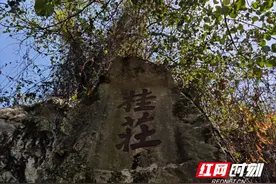 我家在娄底：书生意气 纸短情长图片
