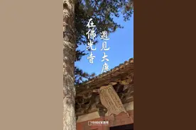 在五台遇见大唐：它何以被梁思成誉为「中国第一国宝」？图片