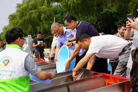 “十年禁渔”显成效：湘江长沙段上演当代版“漫江碧透，鱼翔浅底”图片