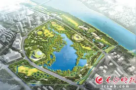观鸟盒里看百鸟争鸣，大泽湖近自然湿地公园预计2024年竣工图片
