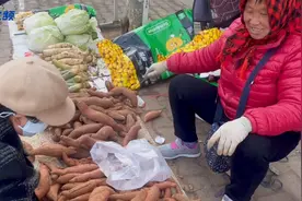 逛市场|烟台地瓜“甜掉牙”！2~2.5元一斤图片