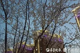 春之曲|突如其来的春天图片