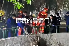 小心！华中科技大学野猪出没图片