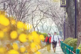 121处公园赏花片区含芳待客图片
