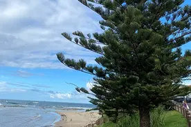 中国游客返澳带来更多乐观前景 澳探险旅游公司Experience Co预计营利将加快恢复至疫情前水平图片