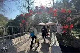 杭州太子湾花事实拍，郁金香、洋水仙开得不错，想看樱花的再等等图片