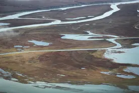 4.85万年，迄今最古老病毒被复活图片