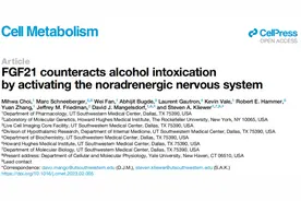 「解酒神药」要来了！喝醉酒，注射这种天然激素，即可加速清醒图片