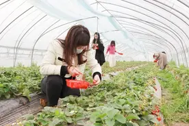 春光明媚三月天 二坝踏青正当时图片