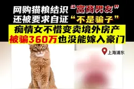 女子卖房资助“富商男友” 花360万也没嫁入豪门图片