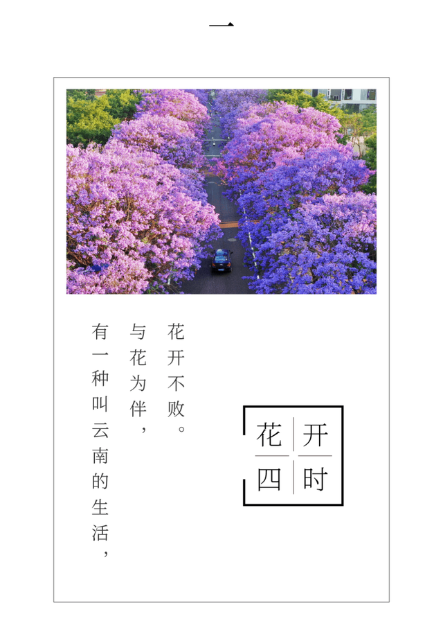 有一种叫云南的生活丨世界花园彩云南