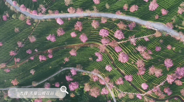有一种叫云南的生活丨世界花园彩云南