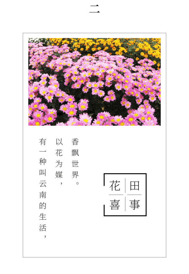 有一种叫云南的生活丨世界花园彩云南