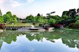 公园里有新风景！周末到铁山坪赏花逛集市图片