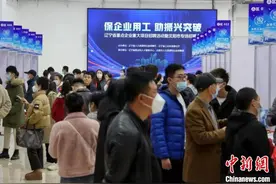 百余家企业超2800个岗位！辽宁省重点企业重大项目招聘活动在沈阳举行图片