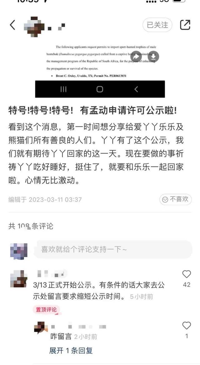实地探访熊猫丫丫