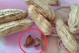警惕！春季这些发霉变质食物易引起中毒图片