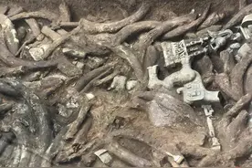 如何让三星堆的象牙“活”过来？这个重点项目将为古物带来新生图片