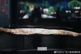 为了让古蜀象牙不再“脆弱” 三星堆10根象牙成重点项目研究示范图片