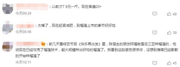 国产榴莲或将价格大跌