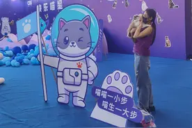 周末来这里撸猫、逛展……全国首个猫博会在厦举办图片