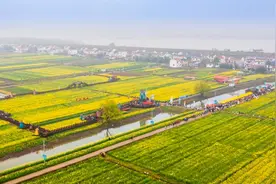 天下洞庭 花约临湘—— 2023年岳阳国际旅游节暨第五届江南油菜花节盛大开幕图片
