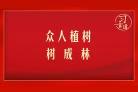 习言道 | 众人植树树成林视频封面