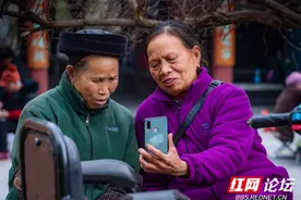 岁月静好，公园里老人们真会享受生活图片
