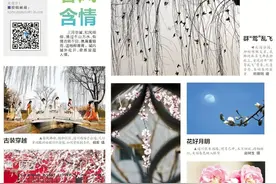 【京城拍客】三月，春风如此多情图片