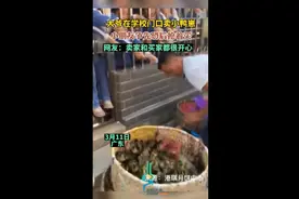 大爷在学校门口卖小鸭崽，小朋友争先恐后抢着买图片