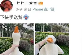 新风险！上海街头流行“抱大鹅”，为了它人们纷纷交出手机？当心大大增加被诈骗概率→图片