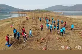京山市开展水源地植树造林和垃圾清理志愿活动图片