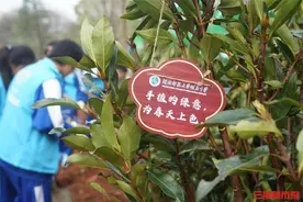 劳动向未来！湖南师大附中开展义务植树暨劳动教育实践活动图片