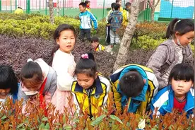 庙滩镇小学：爱绿护绿 从我做起图片