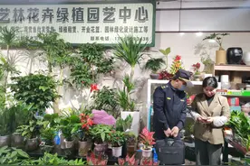 杭州市钱塘区下沙街道：栽“绿”备货忙 苗木价亲民图片