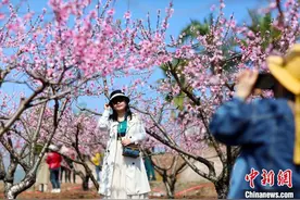 重庆：满园桃花关不住 游客花海笑春风图片